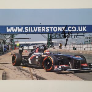 Robin Frijns signed photo, 30x20cm, Sauber F1